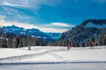 Samoens-Grand Massif-Cross country (Gilles-Piel).webp