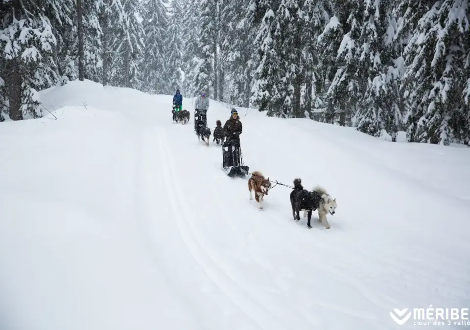 Meribel dog sledding (©OT Meribel).webp