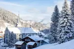 Les Gets ski village (LauraBureau) (1).webp