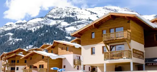 Les Flocons d'Argent