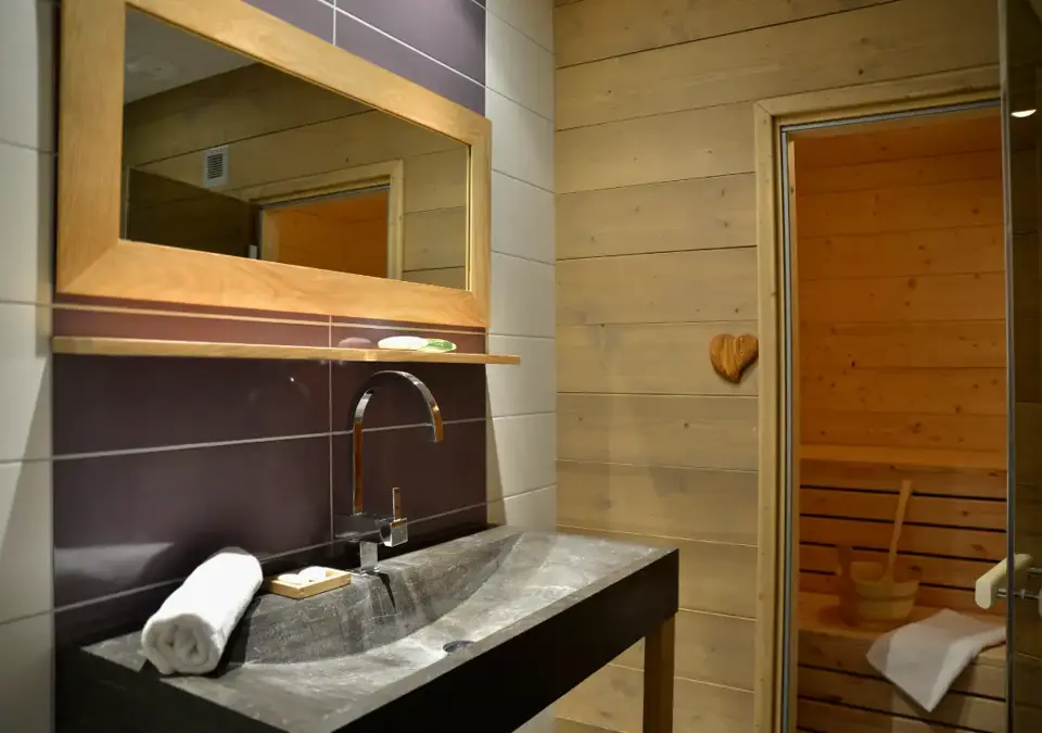 Carlina apatments-Belle Plagne-Typical apartments (2).webp