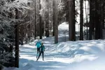 Le Grand Bornand nordic skiing (3).webp