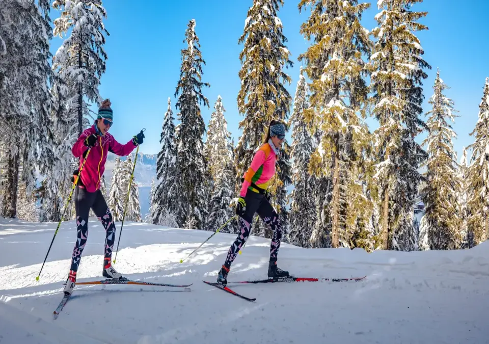 Les 7 Laux nordic skiing (1).webp