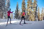 Les 7 Laux nordic skiing (1).webp