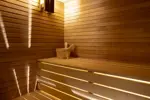 Chalet l-Atelier-Les Deux Alpes-Sauna.webp