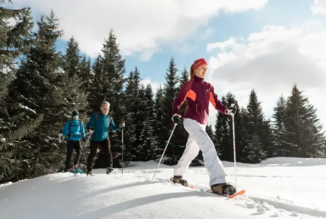 Le Grand Bornand snowshoeing (1).webp