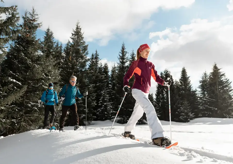Le Grand Bornand snowshoeing (1).webp