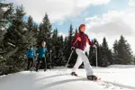 Le Grand Bornand snowshoeing (1).webp