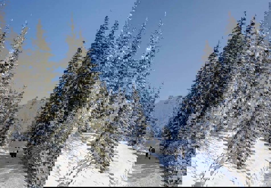 Snowshoeing in Megeve