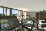 Phoenix-Alpe d'Huez (3).webp