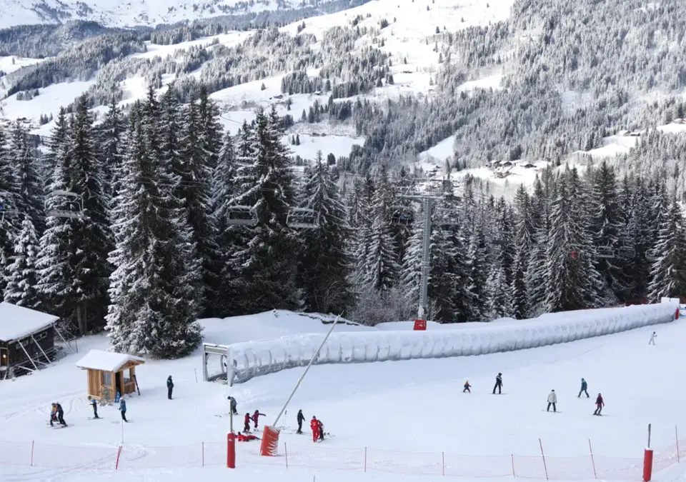 Les Gets Les Mappys beginner area (©Alba_Santoro).webp
