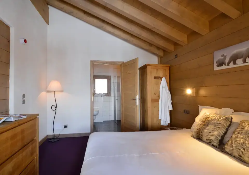 Carlina apatments-Belle Plagne-Typical apartments (10).webp