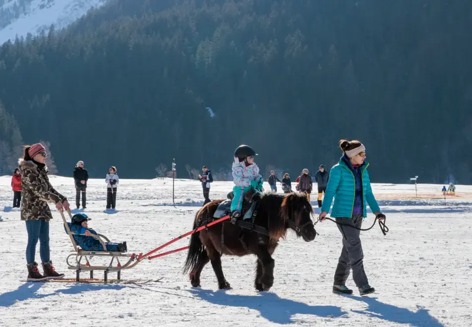 Pralognan-la-Vanoise - Poney Luge (©Guillaume Grasset)